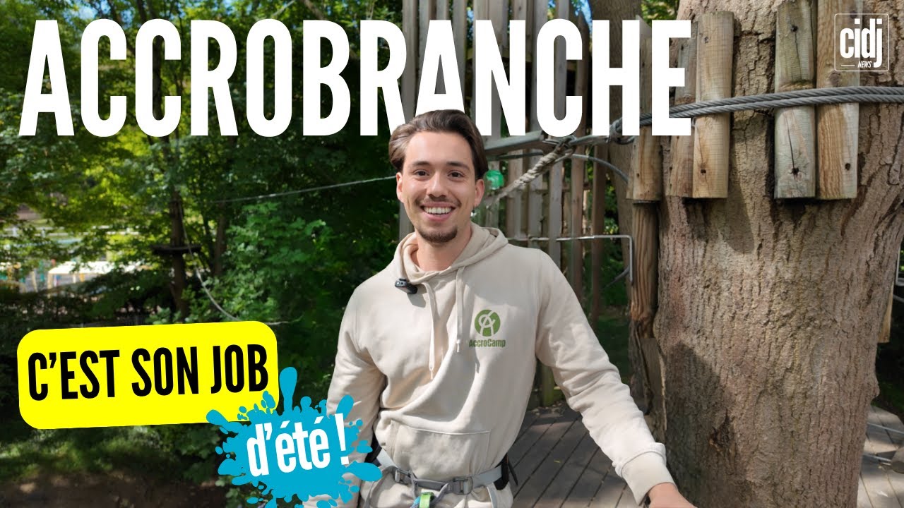 Job d'été dans les arbres : opérateur d'accrobranche !