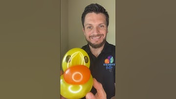 Balloon Rubber Duck #duck #animals #washingtonstate #qualatex #teacher #happybirthday #yellow