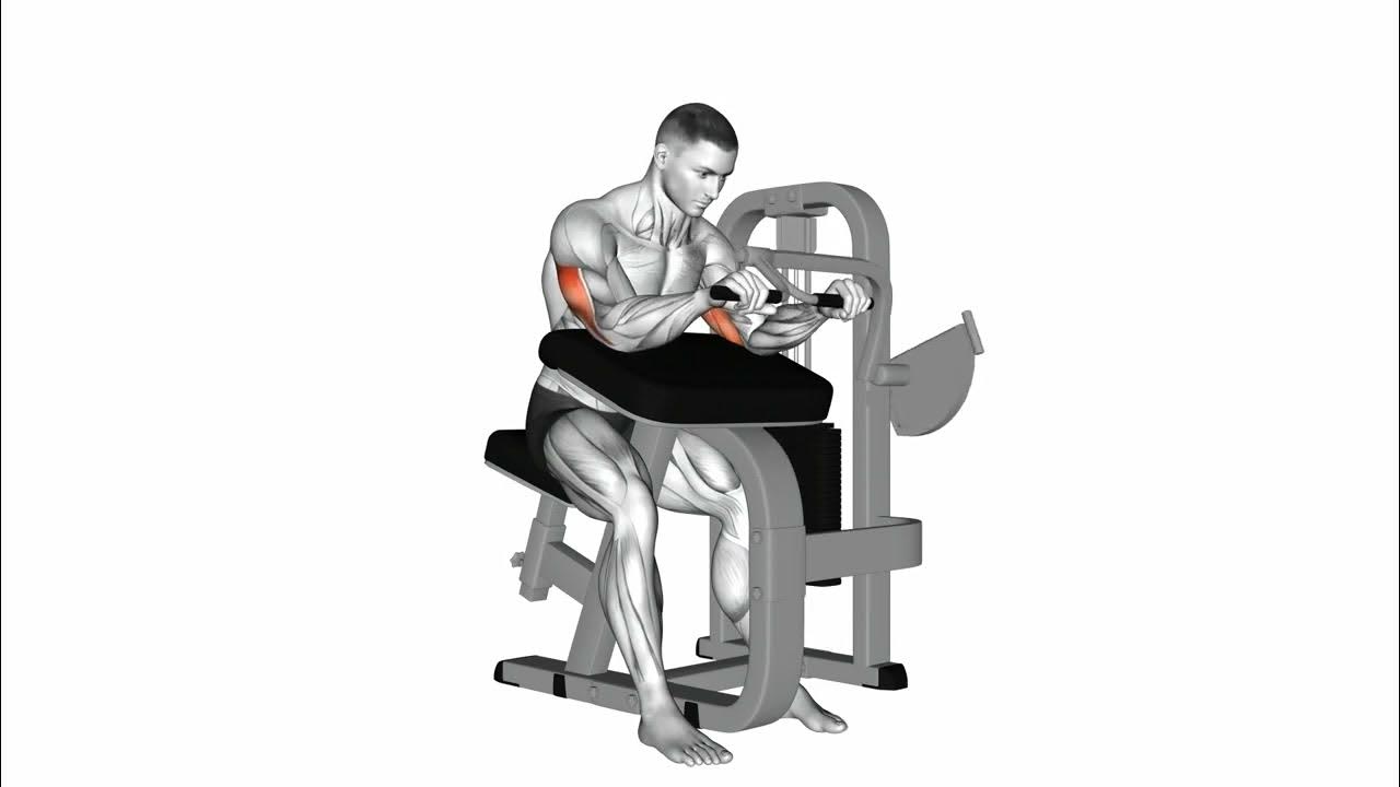 Lever Triceps Extension Gym workout Sobkyfitness YouTube