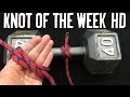 How to tie the clove hitch and variations  its knot of the week