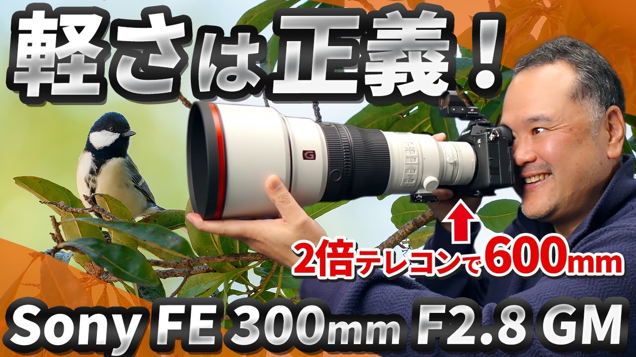 サンニッパに2倍テレコンで野鳥撮影！手持ち600mmが異次元の快適さでした【Sony FE 300mm F2.8 GM OSS】