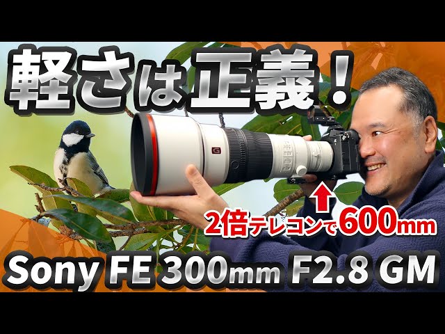 Nikon ED 300mm F2.8 / 2xテレコンバーター Nikon ED 300mm F2.8 / 2xテレコンバーター 【公式通販】