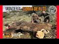 MONTERIA SIERRA DE RUTE 2024 |  SOCIEDAD DE CAZADORES DE RUTE #227