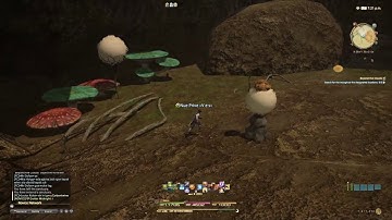 39 Final Fantasy XIV - Main Quest - Beyond The Clouds