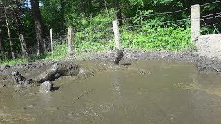 Wellness In Mud