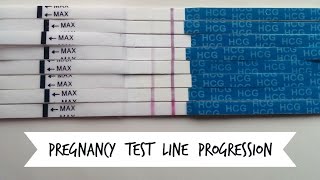 Pregnancy Test Line Progression  |  February 2017