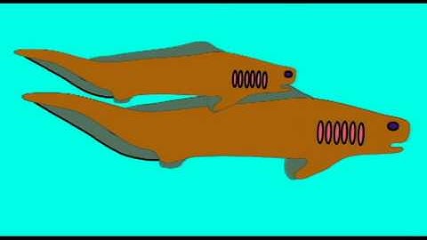 PL1: ORDER OF FOSSIL JAWED FISH