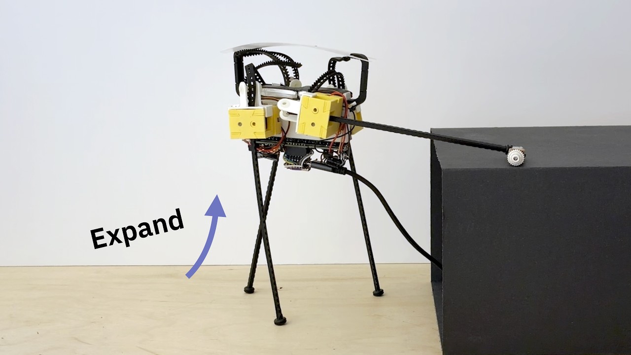 ZipFold: Shape-Morphing Robot from Flexible Strips (RoboSoft 2026