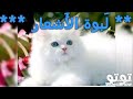 شعر غزل سوري خفي بجمالك وموسيقى مملوءة احساس