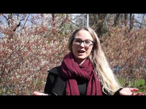 Video: Sådan Får Du Et Job Som Sælger I Letual