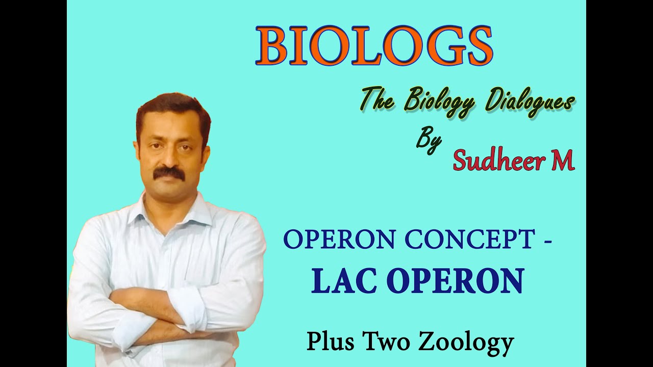 LAC OPERON - Gene Expression in Prokaryotes - Plus Two Zoology - YouTube