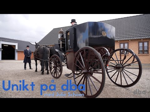 Video: Heste og aldring: Sådan plejer du gamle heste