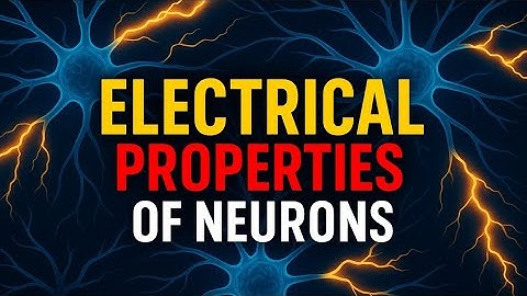 Electrical Properties of Neurons: How Your Neural Circuits Fire, Communicate, and Keep You Alive