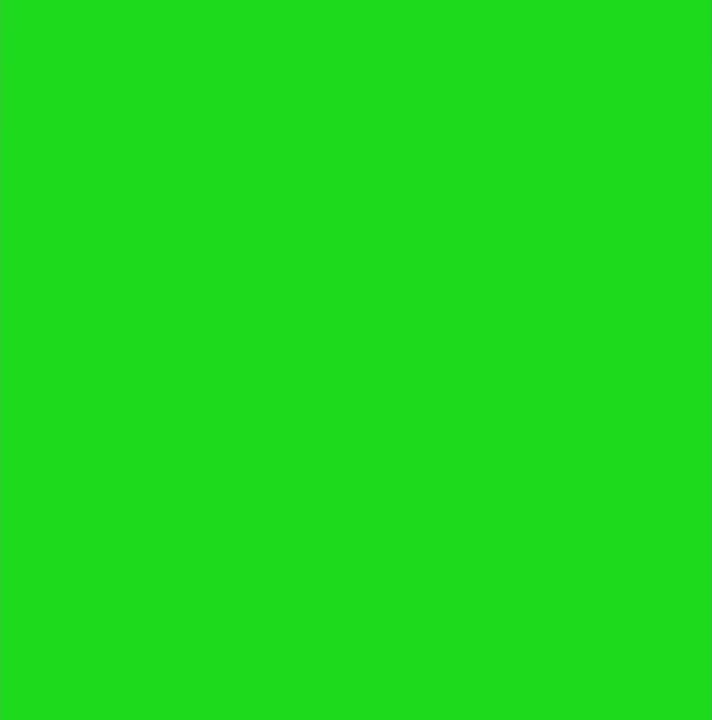 free green screen overlay (alight motion , capcut , vsp , ccp , etc)
