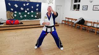 Low, High, Inner Taekwondo Blocks