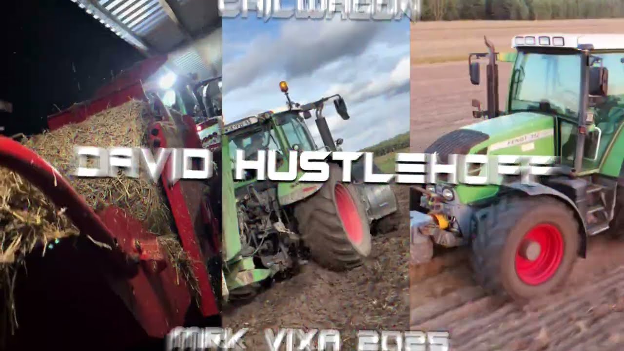 chillwagon - david hustlehoff ( MRK VIXA MASHUP 2025)