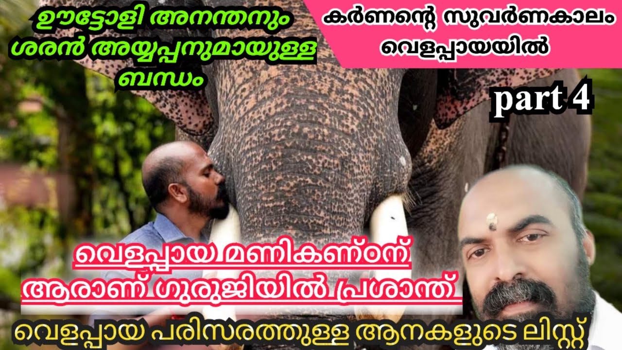 ഗുരുജിയിൽ പ്രശാന്ത് വെളപ്പായ മണികണ്ഠന് ആരാണ്? വെളപ്പായ പരിസരത്തുള്ള ആനകൾ #sreejith velapaya mani