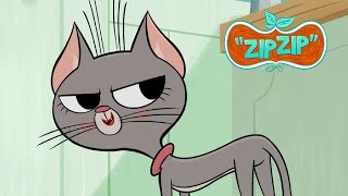 I'm not a grandma! | Zip Zip | 3 hours COMPILATION  Season 1 | Cartoon for kids