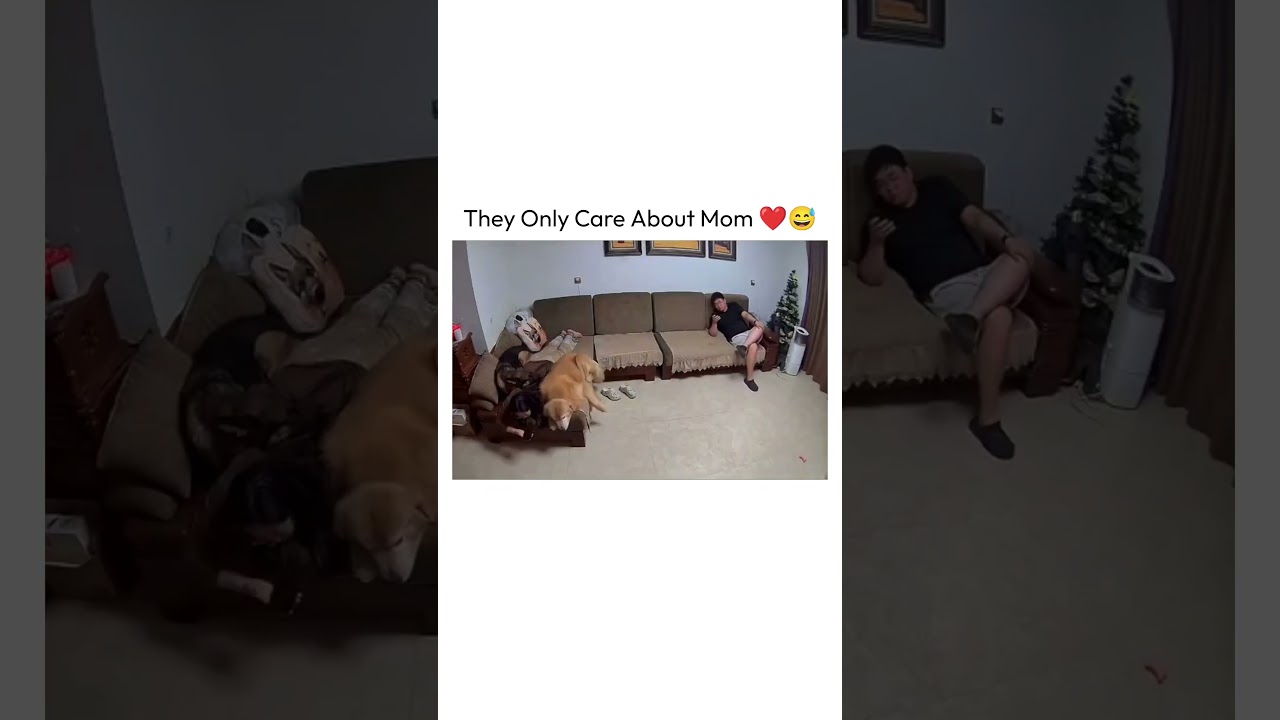 They Only Care About Mom ❤️😅