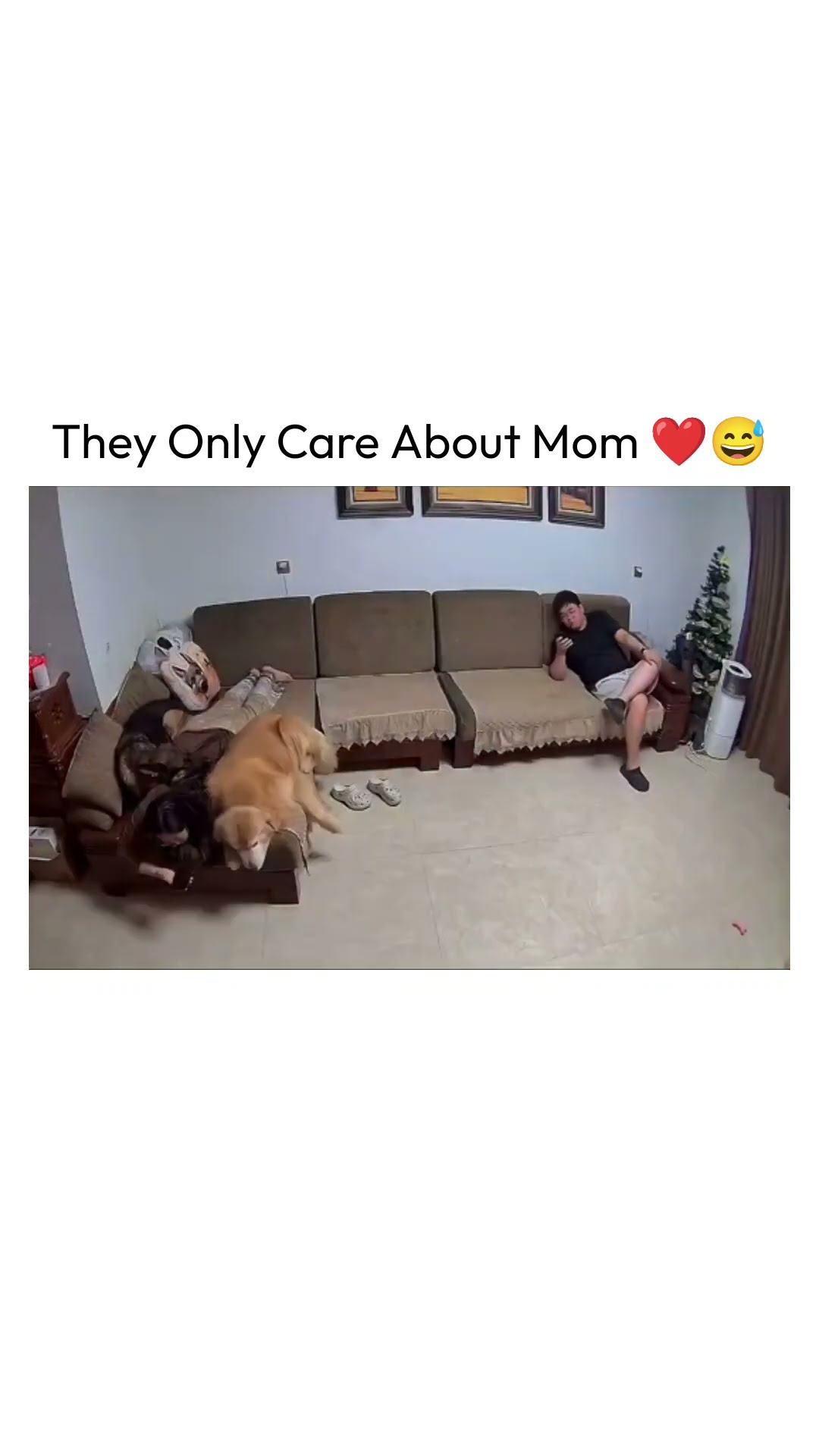 They Only Care About Mom ❤️😅