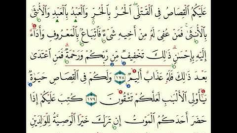 (28) سورة البقرة من 177 الى 182