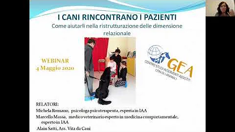 Quanto costa una seduta di pet therapy?