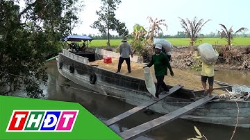 Nông nghiệp - Nông dân - Nông thôn Mỹ Thiện hôm nay | Trang địa phương - 13/12/2025 | THDT