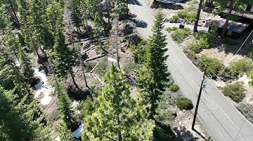 Starlink Treetop Installation in Tahoe