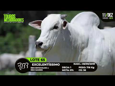 LOTE 65