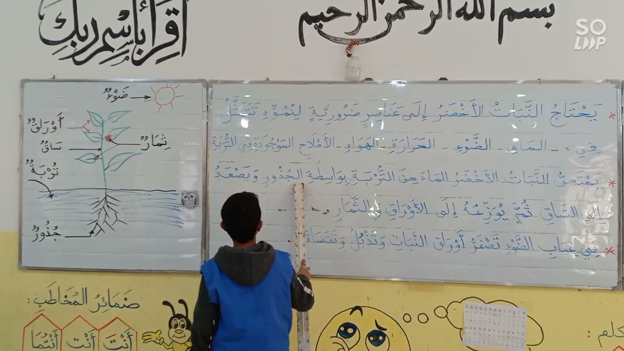 الحاجيات الغذائية للنبات الأخضر، تربية علمية، السنة الثالثة ابتدائي