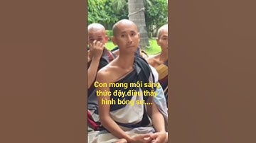 NỤ CƯỜI TỪ BI -TỪ VỊ CHÂN TU #minhquan #thichminhtue