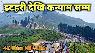 इटहरी देखि इलाम सम्म | इलाम  कन्याम | Ilam Kanyam | Top Tourist Destination of Ilam | 4K Ultra HD