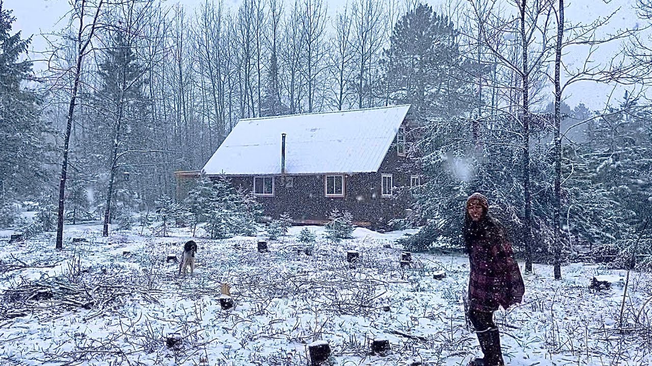 Beautiful Peaceful Spring Snow Storm At An Off Grid Cabin In The Woods ...