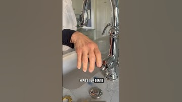 Easy Germ Experiment 🦠 #scienceforkids #experimentsforkids #science #scienceexperiment