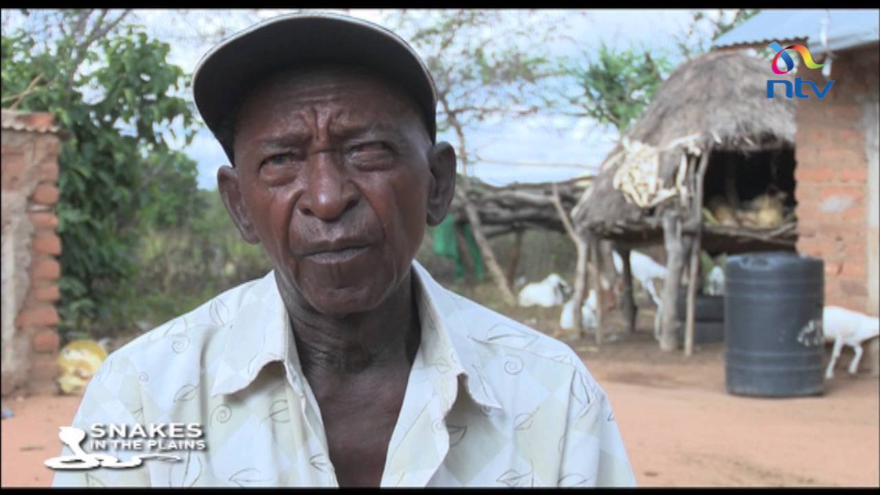 Deadly vipers terrorising residents of Kitui