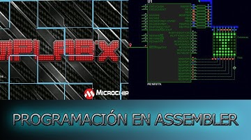 PIC16F877A - El TMR0 (Contador o Temporizador) 🆓