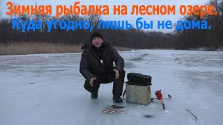 Зимняя рыбалка на лесном озере.Куда угодно,лишь  бы не дома.