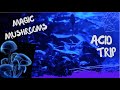 DEEP PSILOCYBIN AQUA TRIP 4K 🍄 [432Hz]