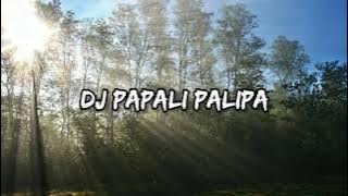 DJ PAPALIPALIPA X MORE THAN YOU KNOW || SWIN FVNKY RIMEK🎶