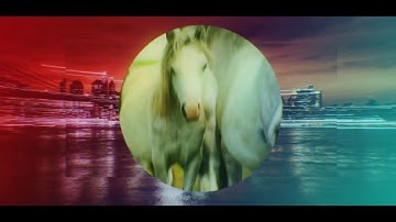 1017  - Dynamic Stomp Intro text logo fast opener