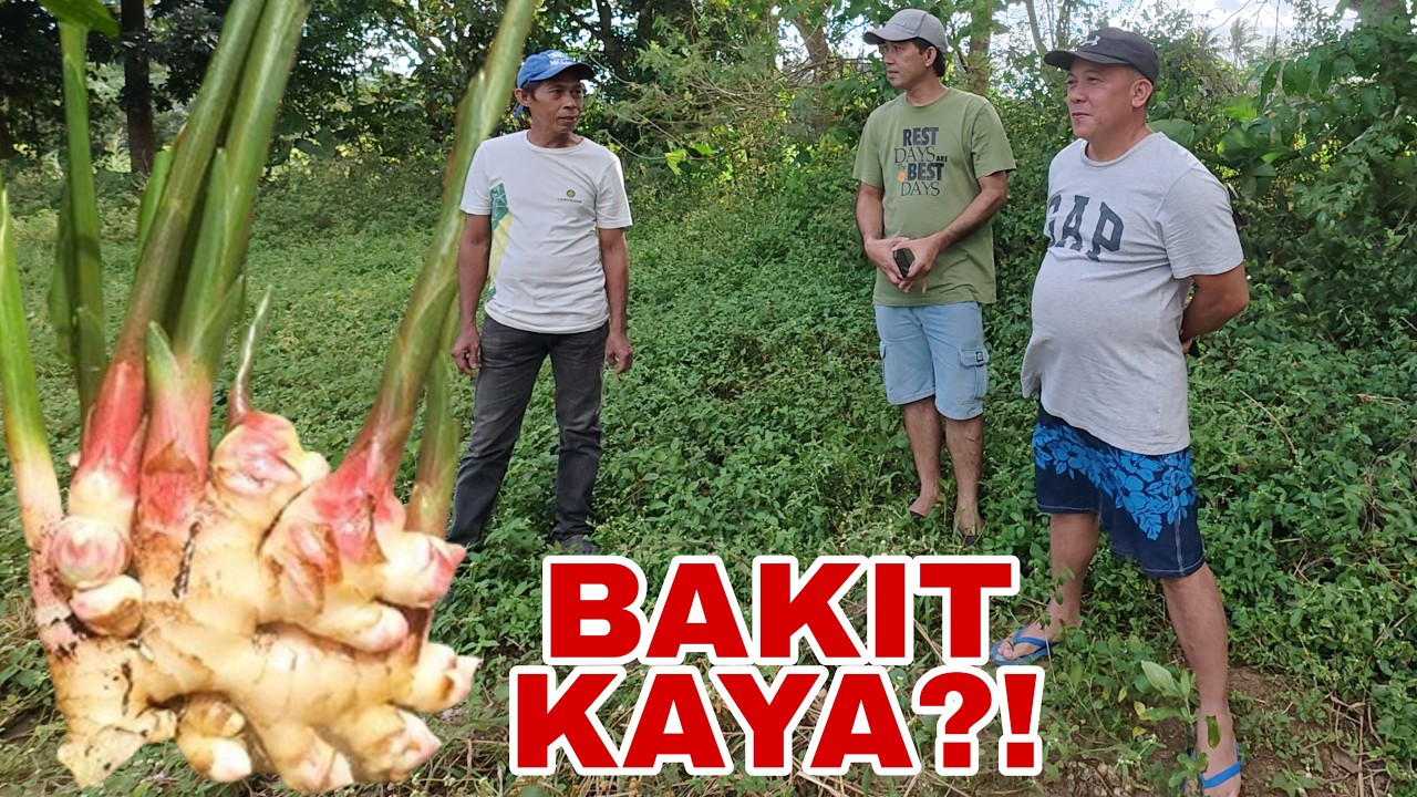 MAY BINISITA KAMING LUYA, PERO HINDI NABILI | Biyaherong Batangueno