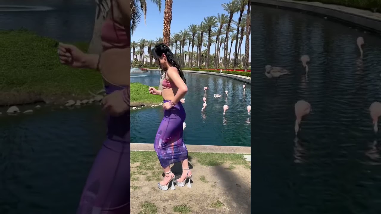 Me walking all the way to Coachella for that splash at the end 🎡🌴💦