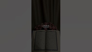 تلاوه جميله وهادئه من سوره ال عمران للقارئ اسلام صبحي 🤎🪐