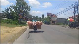 Lagu Iwan Fals  Album Terbaik bento bongkar iwanfals 