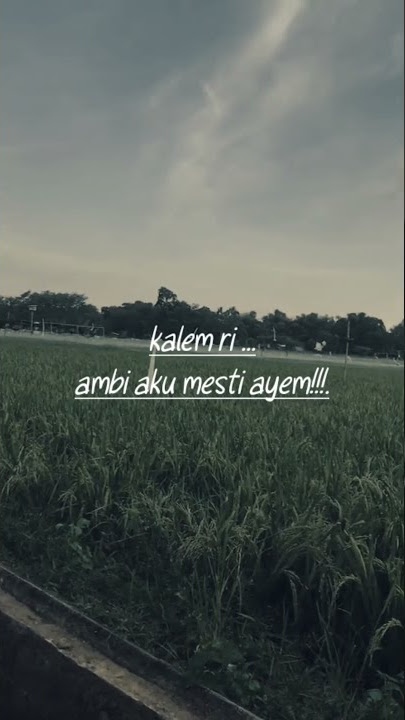 Story Whatsapp Bravesboy 15 Detik (putuskan saja pacarmu)!!!