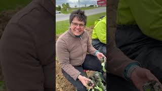 Beim Blumen Längle in Duningen gibt’s em Herbschd Filderkraut