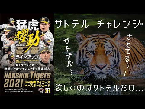欲しいのは佐藤輝明だけ。サトテルのルーキーオートを狙え！ BBM 2021