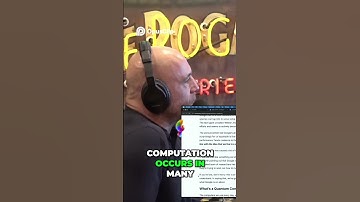 Is Google’s Quantum AI Proving the Multiverse Theory?