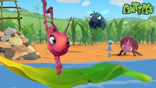 joey boo build high diving platform new friends antiks wildest