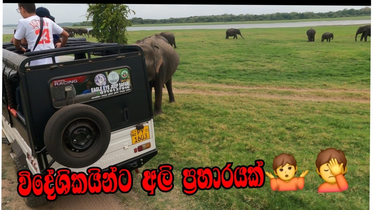 Путешествия по Аре | Видеоблог о путешествиях 2025 | Приезжайте вечером, чтобы увидеть красоту оз...